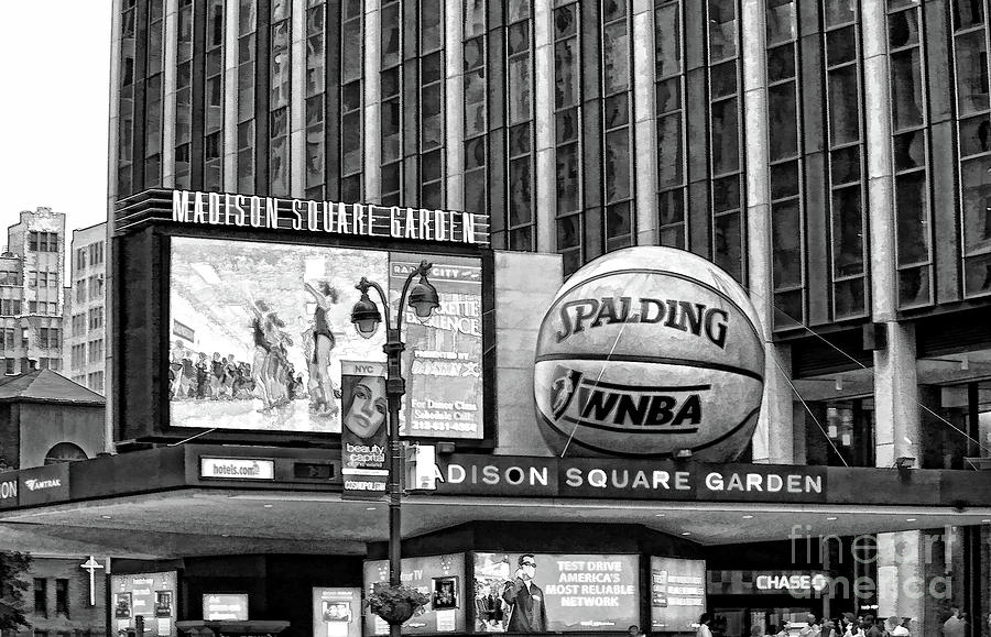 Black White Madison Square Garden Paint  Photograph by Chuck Kuhn