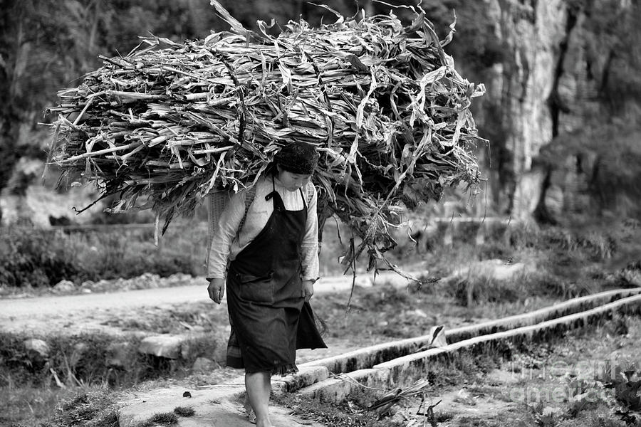 Black White woman Heavy load Photograph by Chuck Kuhn