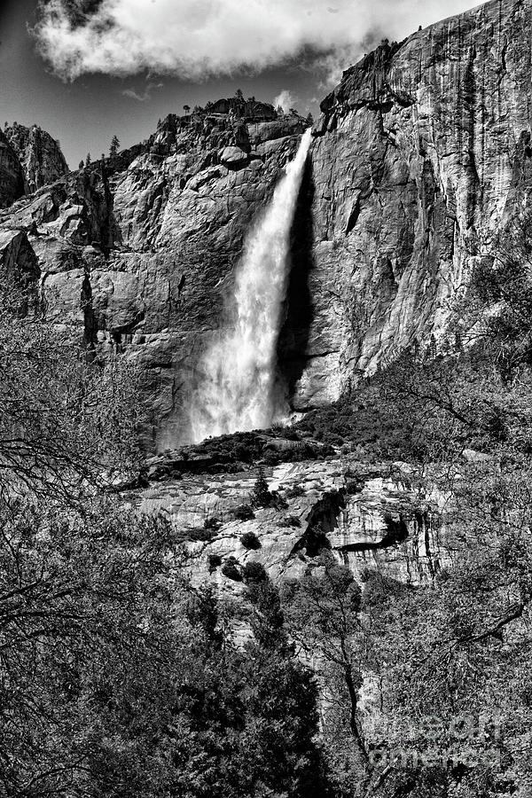 Yosemite National Park Photograph - Black White Yosemite Falls  by Chuck Kuhn