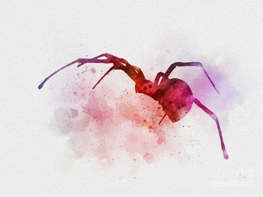 Black Widow Spider Mixed Media by My Inspiration