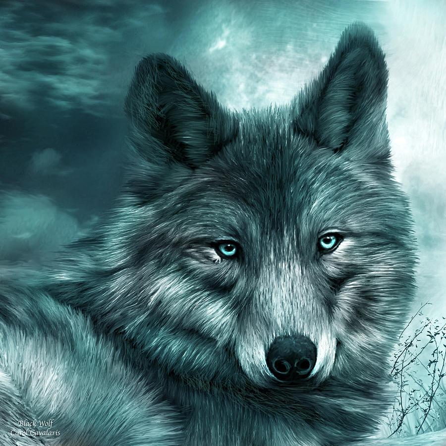 Black Wolf Mixed Media by Carol Cavalaris