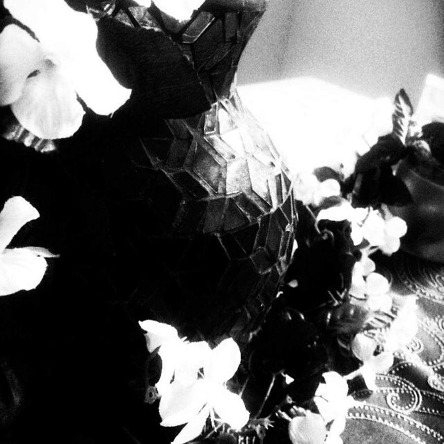 Flower Photograph - #blackandwhite #flowers #intruiging by Ema Carey