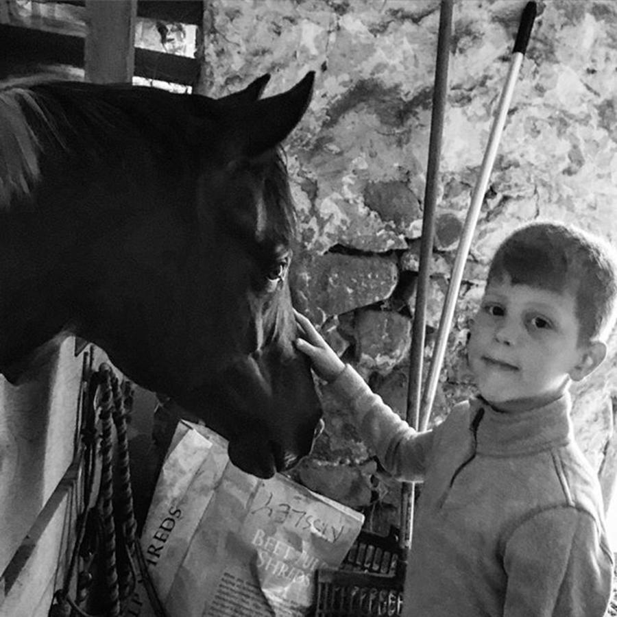 Nature Photograph - #blackandwhite #horse #pony #horse #boy by Sharon Halteman