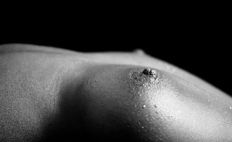 Nude Photograph - Blackberries #3 by Ed Silvera