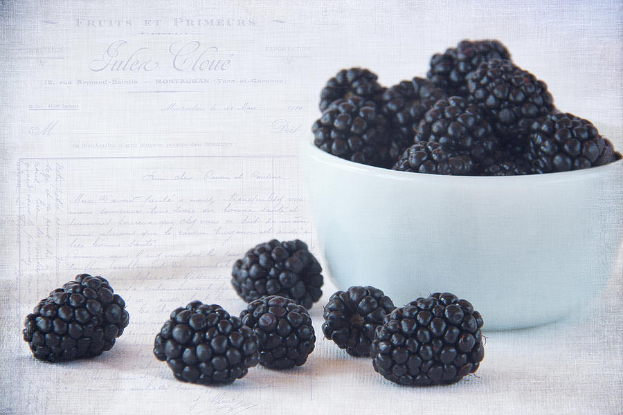 Blackberries Photograph by Cindi Ressler