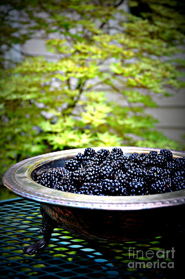 Blackberries In Silver Dish Photograph by Tatyana Searcy