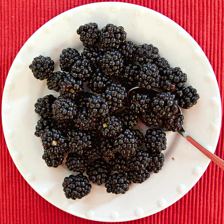 Blackberries on a plate Photograph by Tatiana Travelways