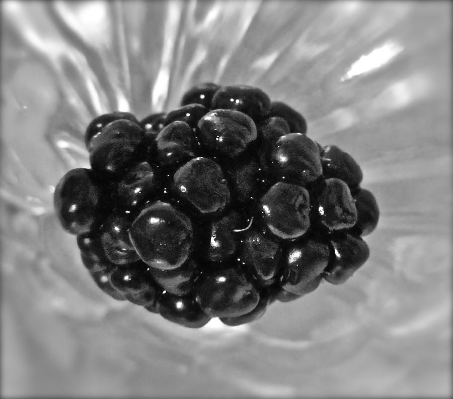 Blackberry ... Black Tie Affair Photograph by Gwyn Newcombe