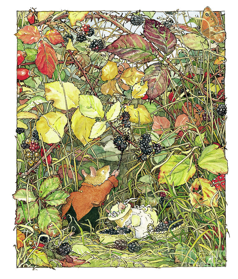 Mouse Drawing - Blackberry picking by Brambly Hedge