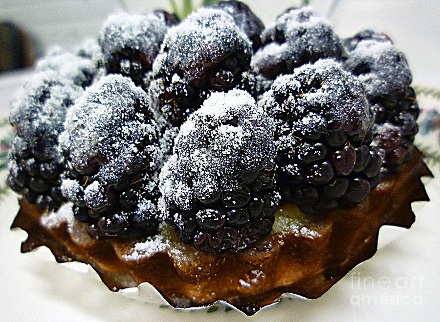 Blackberry Tart Photograph by Renee Trenholm