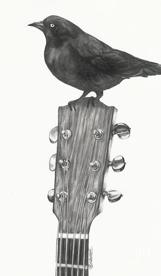 Blackbird solo  Drawing by Meagan  Visser