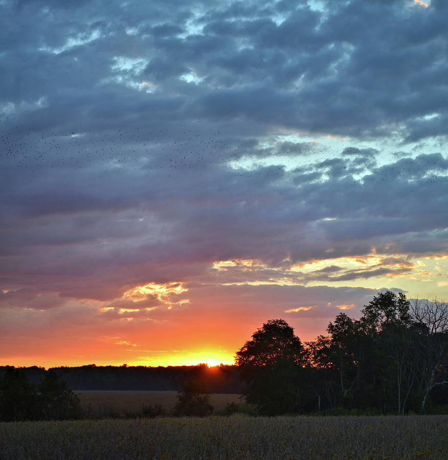 Blackbird Sunrise 2 Photograph by Bonfire Photography - Fine Art America