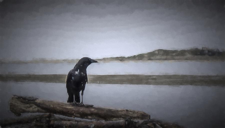 Blackbird Surveys the Bay Photograph by HW Kateley