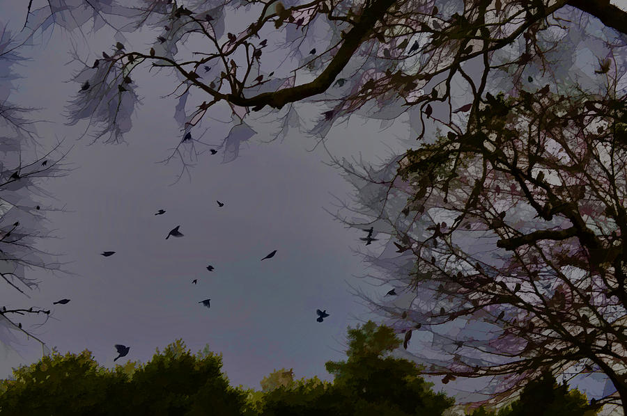 Blackbirds Evening Gathering Photograph by Lesa Fine