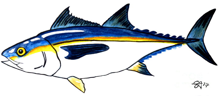 Blackfin Tuna Fishing Fish Painting