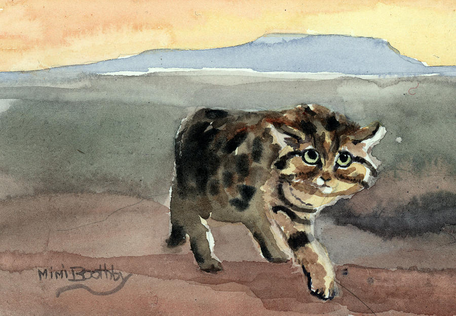 Blackfooted cat Painting by Mimi Boothby