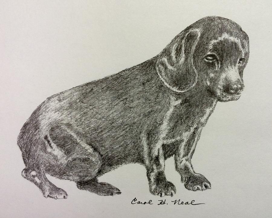 Dog Drawing - Blackie by Carol Neal