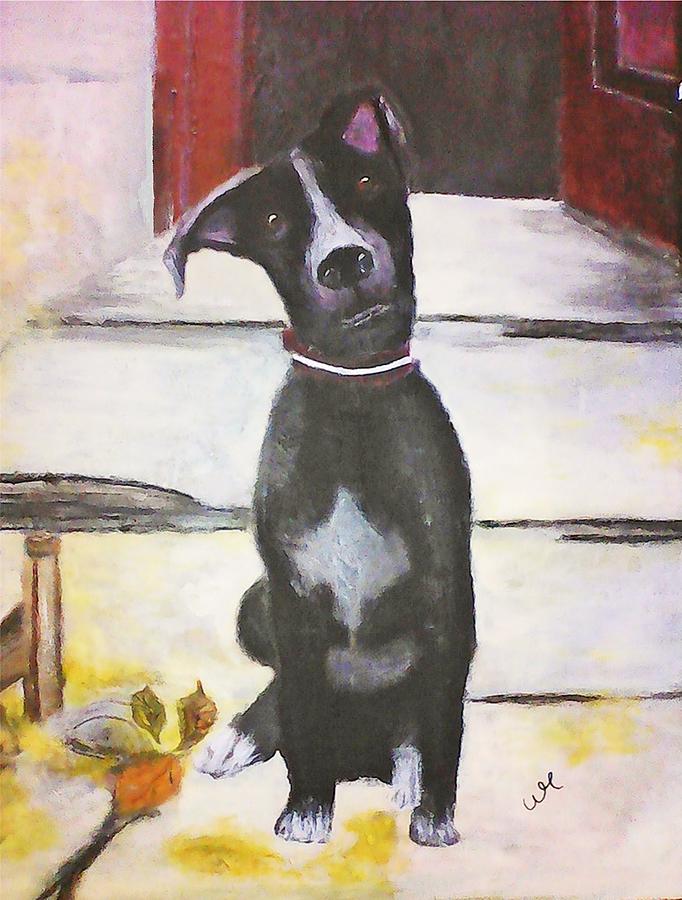 Dog Mixed Media - Blackie the Pothound by Waheeda Ramnath
