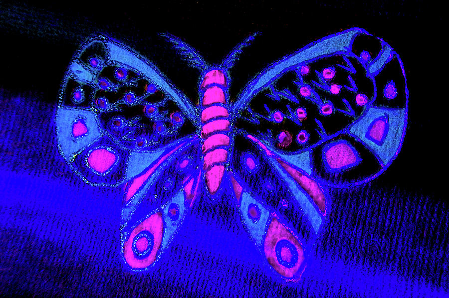 Blacklight Butterfly Drawing by Adria Trail