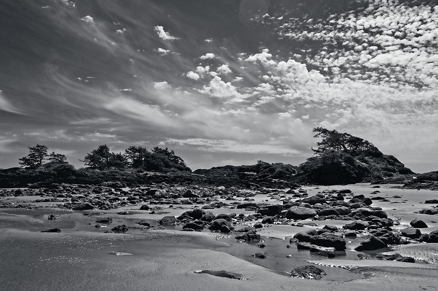 Blacklit Frank Island Low Tide Photograph by Allan Van Gasbeck