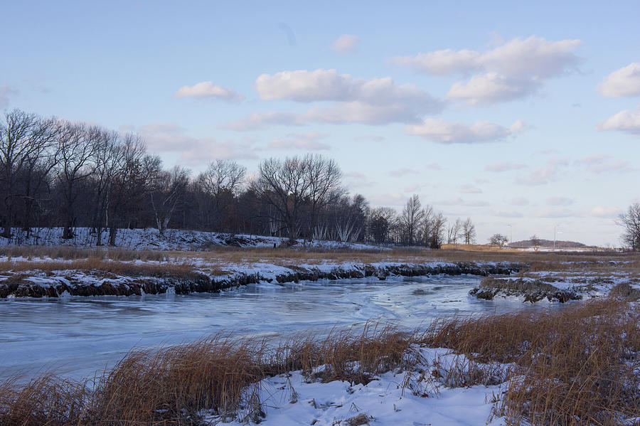 Black's Creek In Winter Photograph By Adam Gladstone - Fine Art America