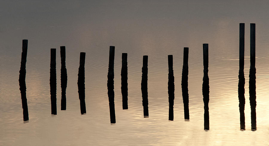 2012 Photograph - Blackwater Abstract by Lauren Brice 2012 Photograph - Blackwater Abstract by Lauren Brice