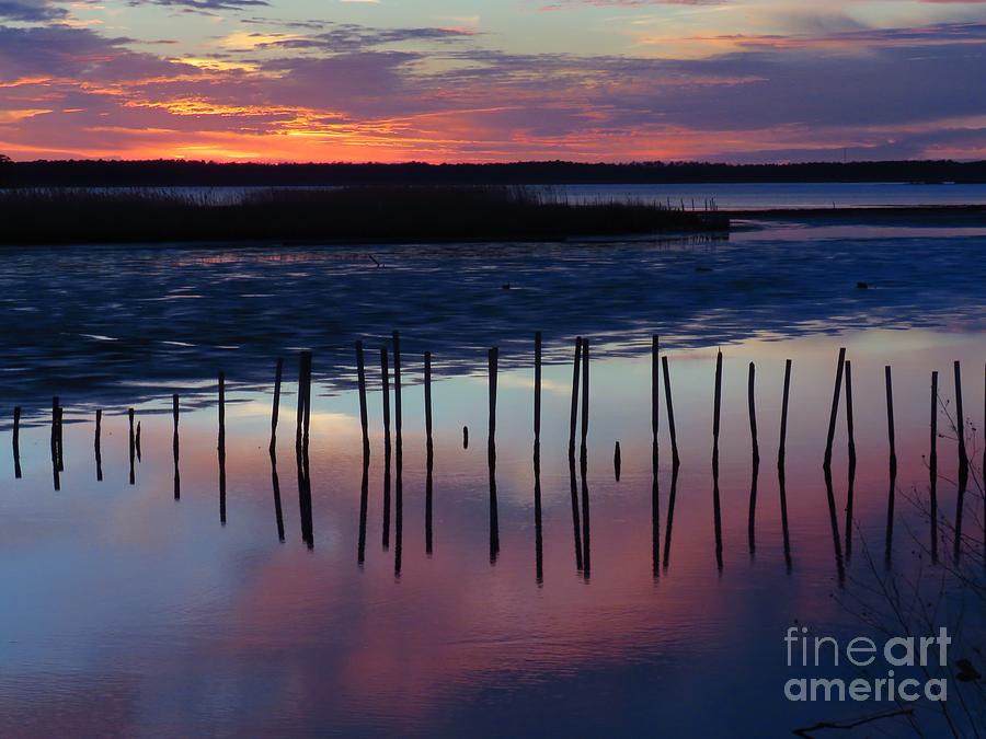 Blackwater blue sunset two Photograph by Rrrose Pix