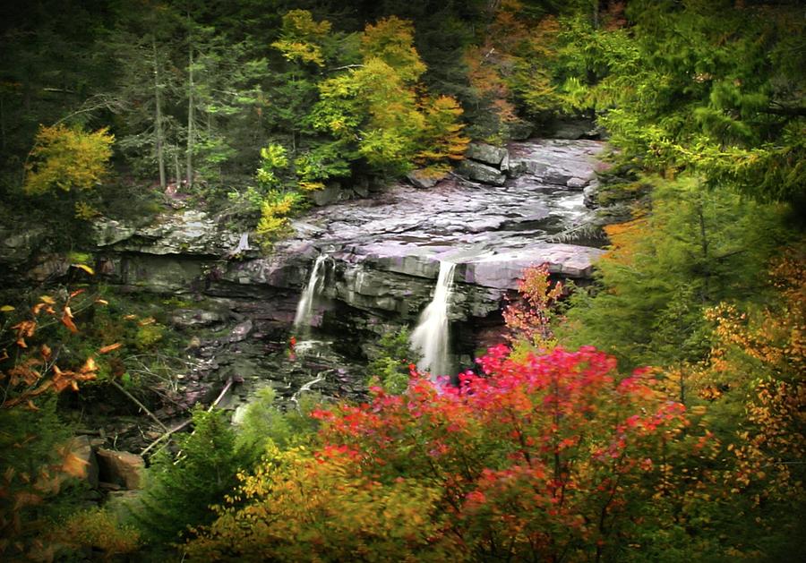 Fall Photograph - Blackwater Falls Autumn Scene 2 by Michael Forte