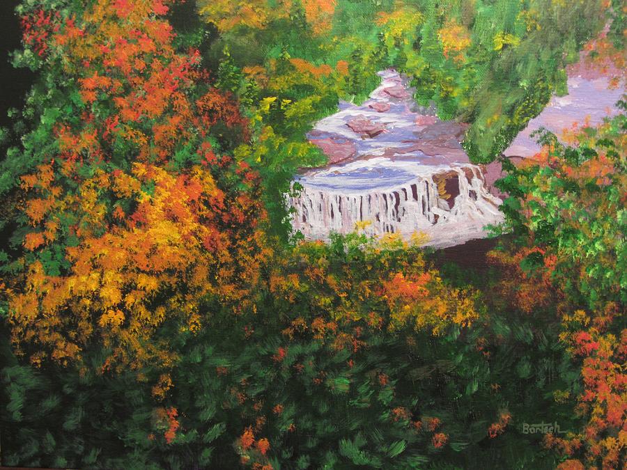 Blackwater Falls in Autumn Painting by David Bartsch