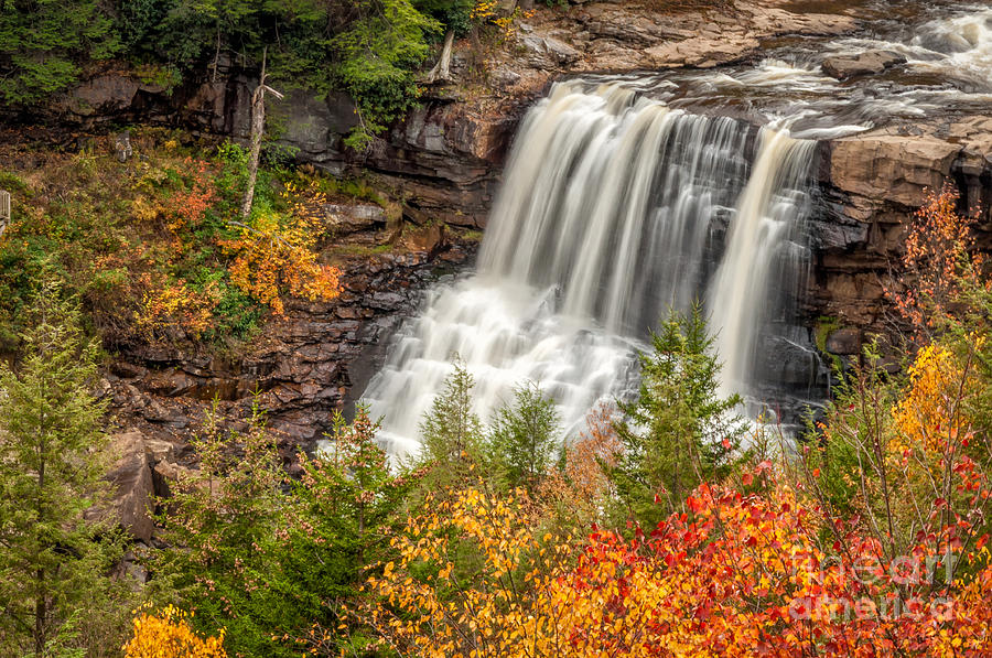 Blackwater Falls in Autumn WV Photograph by Kathleen K Parker