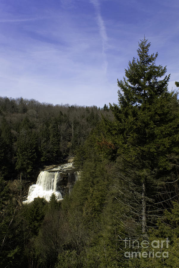 Blackwater Falls in West Virginia Photograph by Anthony Totah