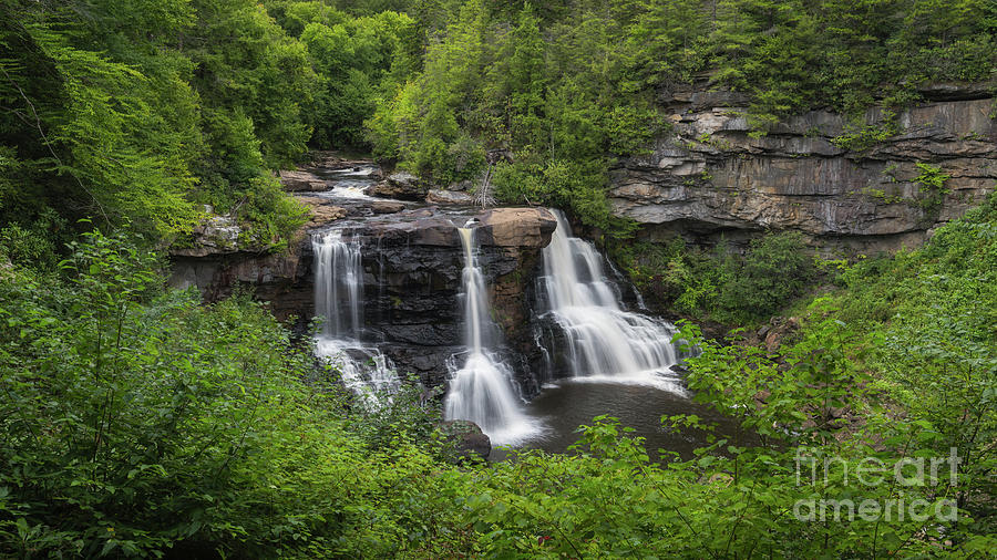 Blackwater Falls State Park Photograph by Michael Ver Sprill