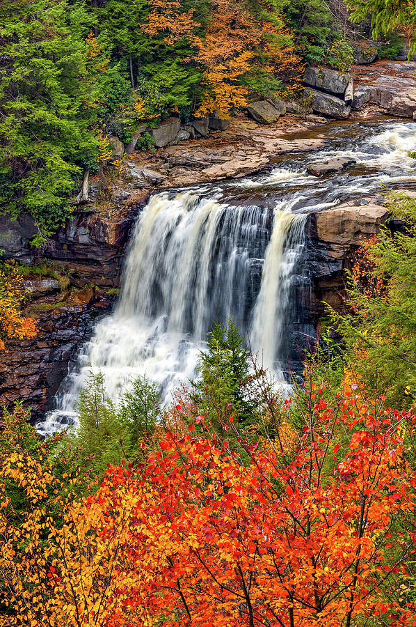 Fall Photograph - Blackwater Falls  by Steve Harrington