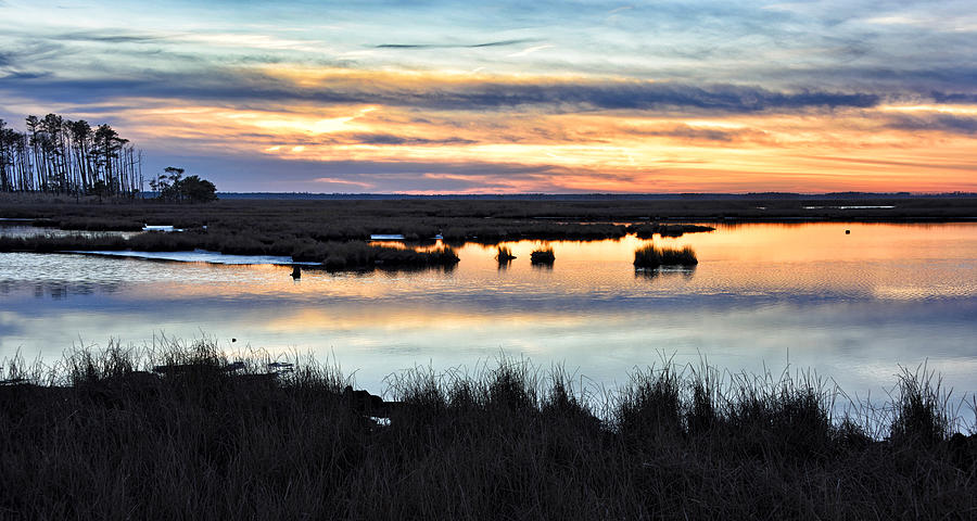 Blackwater National Wildlife Refuge - Sunsetting Photograph by Brendan Reals