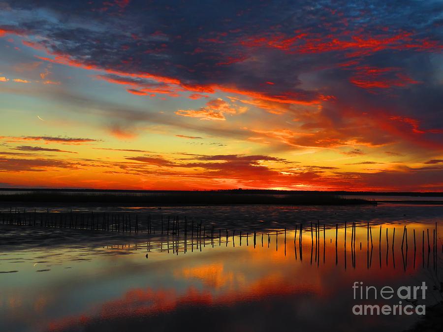 Blackwater red sunset one Photograph by Rrrose Pix
