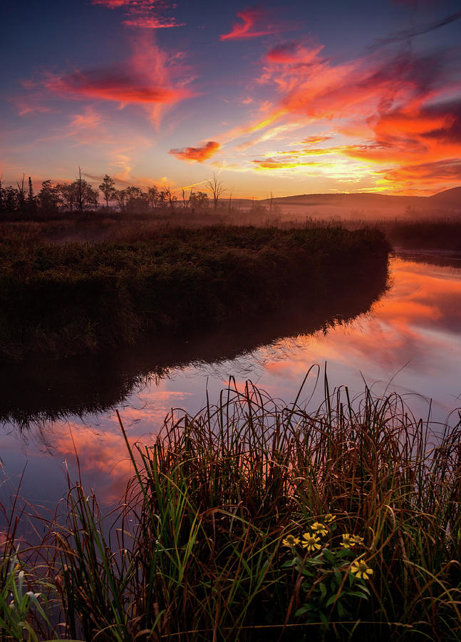 Blackwater River Sunrise Photograph by Jason Funk