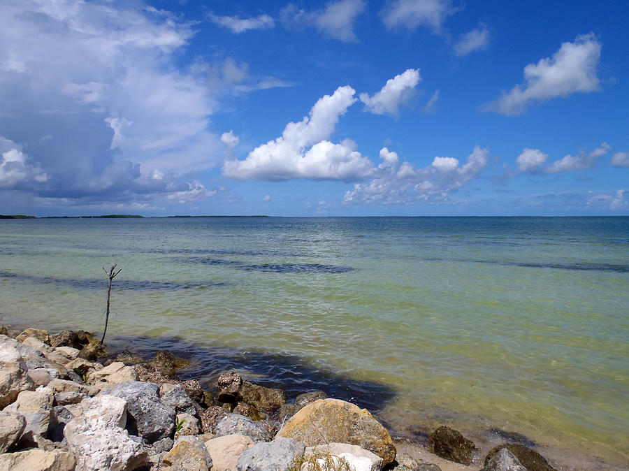 Blackwater Sound Photograph by Tammy Chesney - Fine Art America