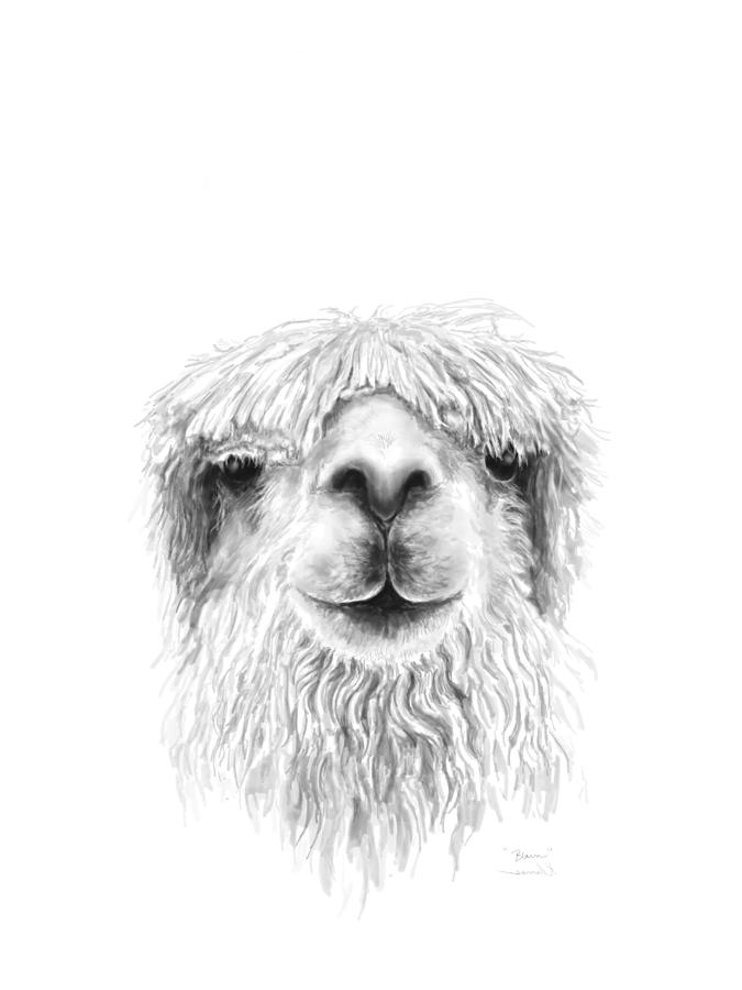 Llama Drawing - Blain by Kristin Llamas