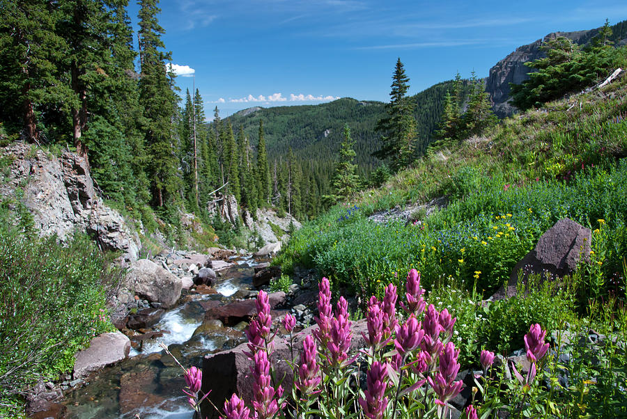 Blaine Basin Summer Landscape Photograph by Cascade Colors