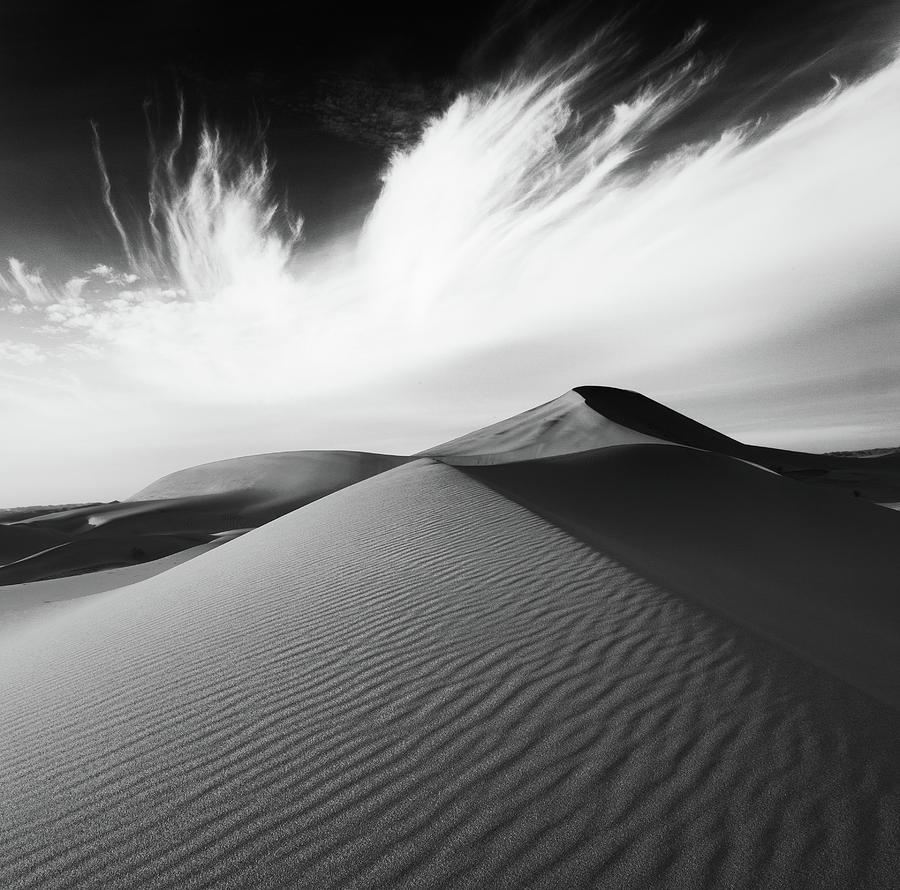 horse tail by Khaled Hmaad horse tail by Khaled Hmaad