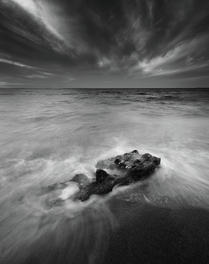 The Survivor rock by Khaled Hmaad The Survivor rock by Khaled Hmaad