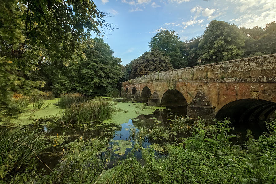 Blandford Forum - England Photograph by Joana Kruse