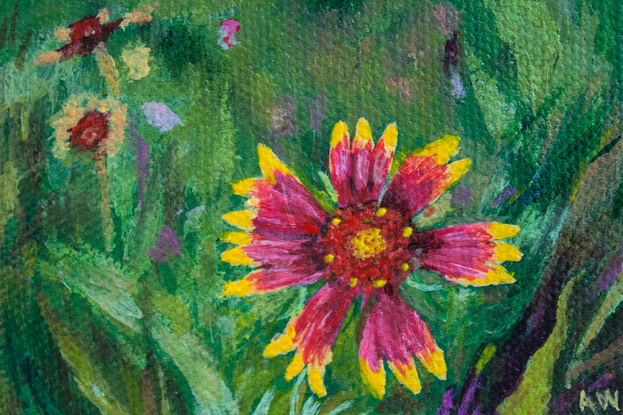 Flowers Still Life Painting - Blanket Flower - Gaillardia by Amber Woodrum