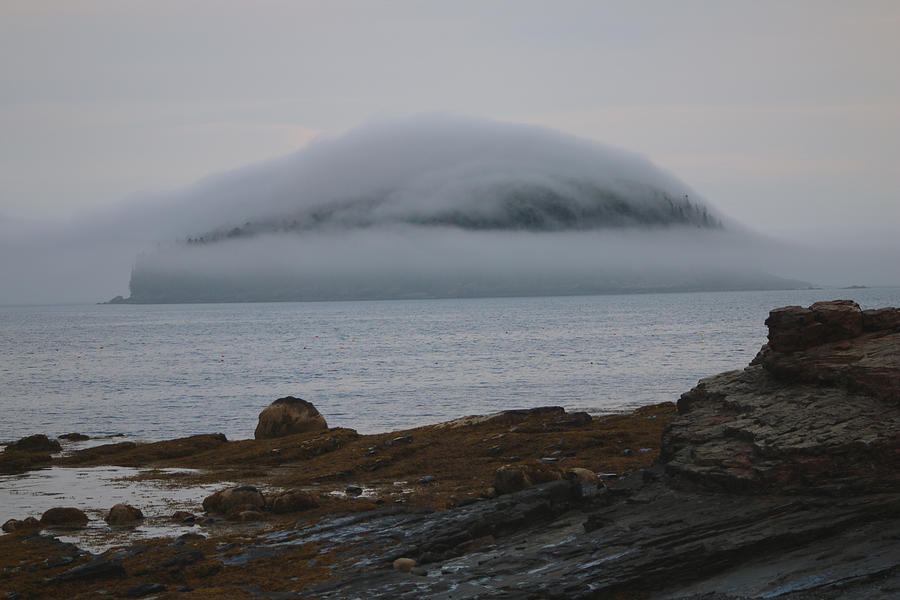 Blanket Of Fog Photograph by Living Color Photography Lorraine Lynch