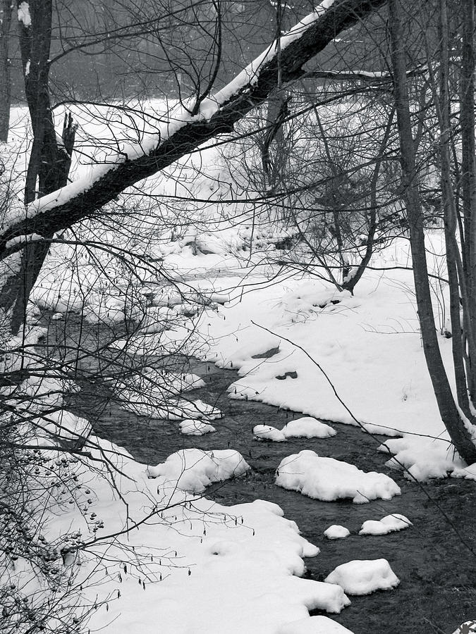 Blanket Of Winter Photograph by Debra     Vatalaro