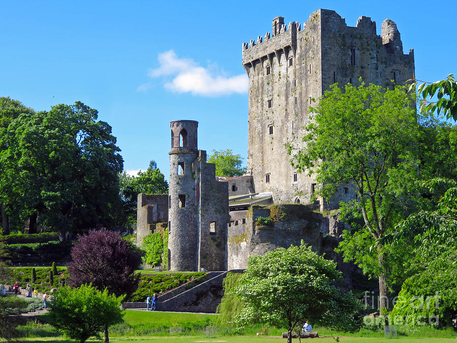 Blarney Castle  Photograph by Cindy Murphy - NightVisions 