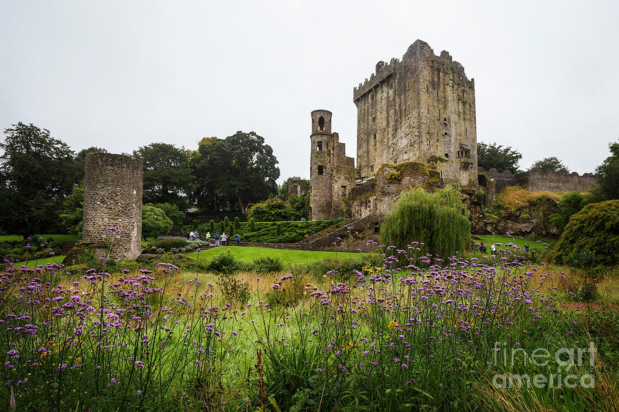 Blarney Castle Photograph by Dennis Hedberg