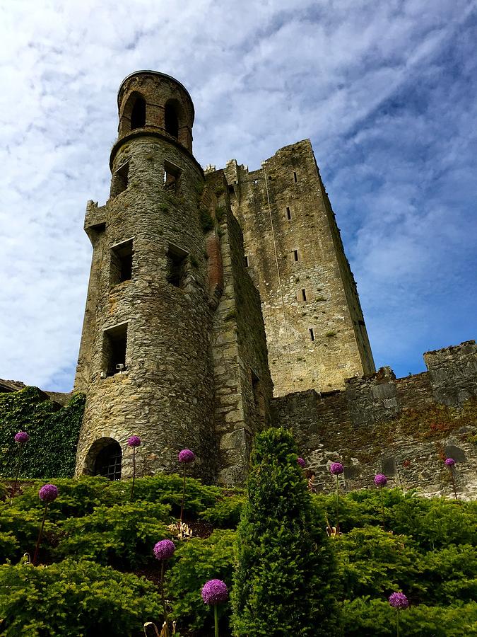 Blarney castle Photograph by Sue Morris