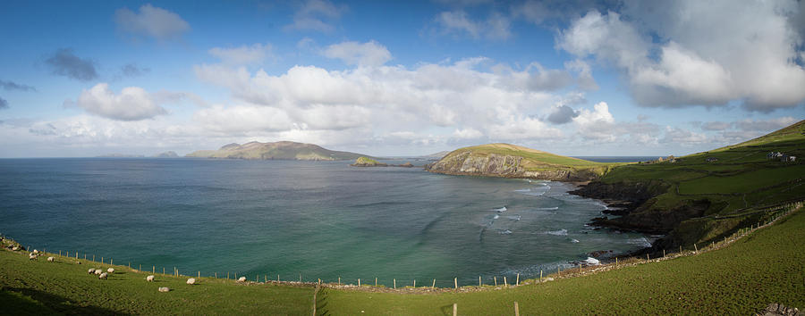 Blasket Panorama Photograph by Mark Callanan