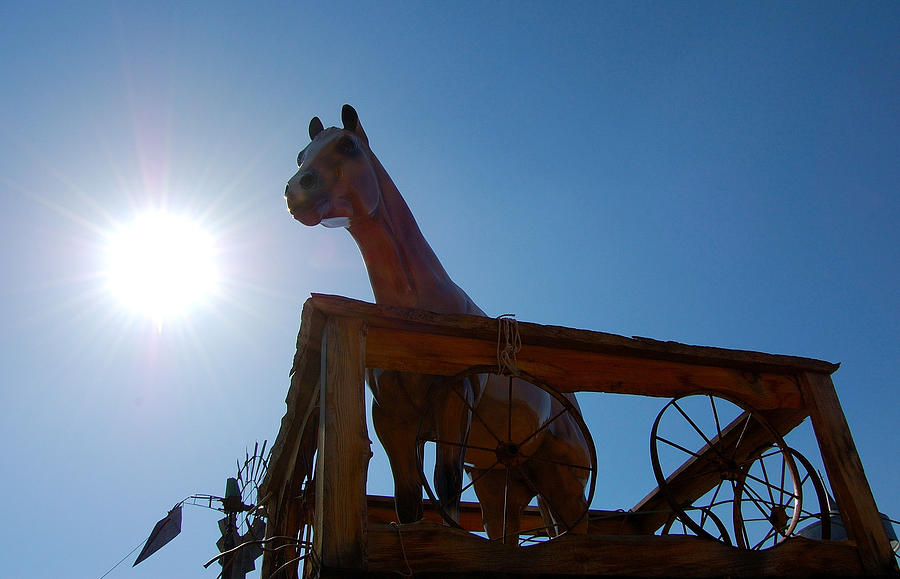 Arizona Photograph - Blaze by Heather S Huston Arizona Photograph - Blaze by Heather S Huston